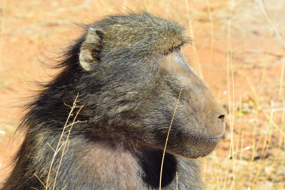 Photograph by Анатолий Орлов