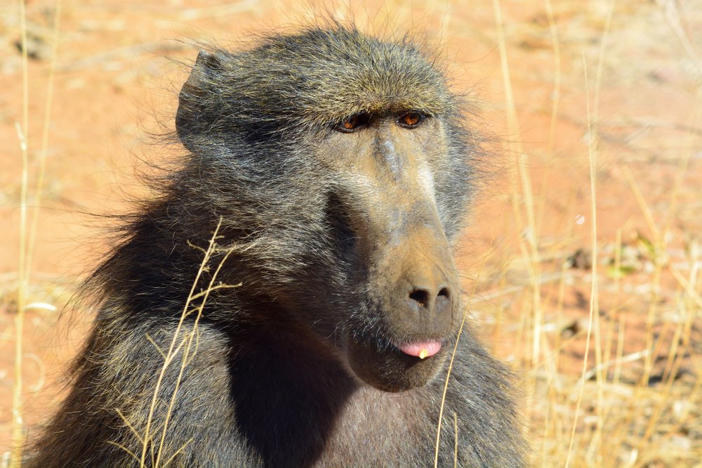 Photograph by Анатолий Орлов