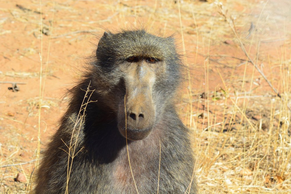 Photograph by Анатолий Орлов