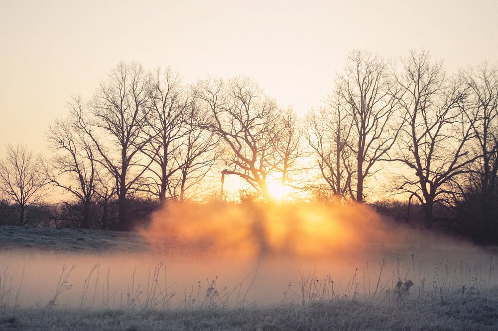 Мороз и солнце....