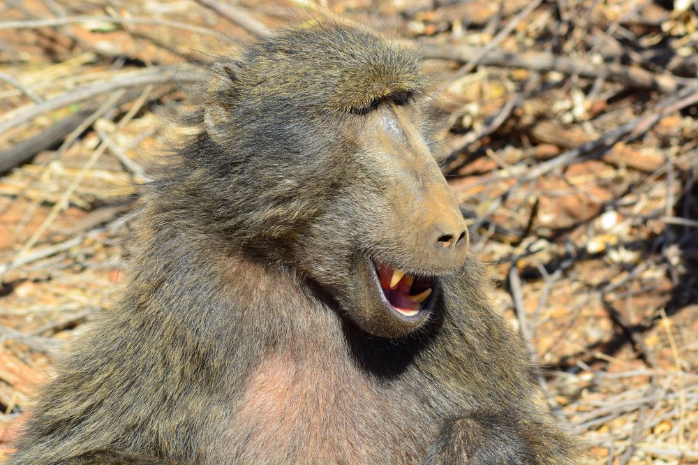 Photograph by Анатолий Орлов