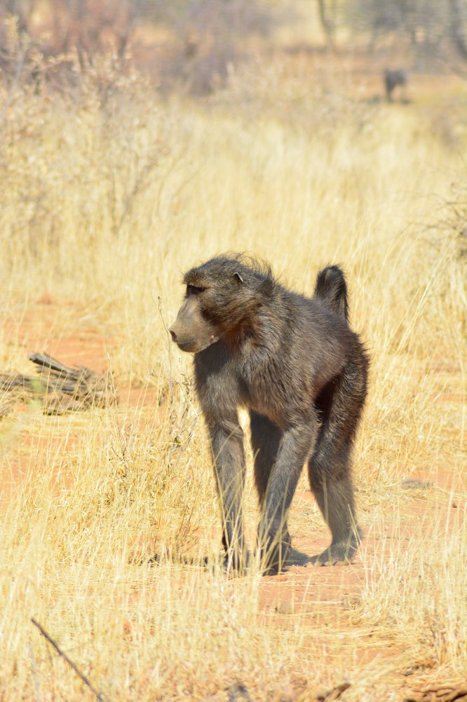 Photograph by Анатолий Орлов