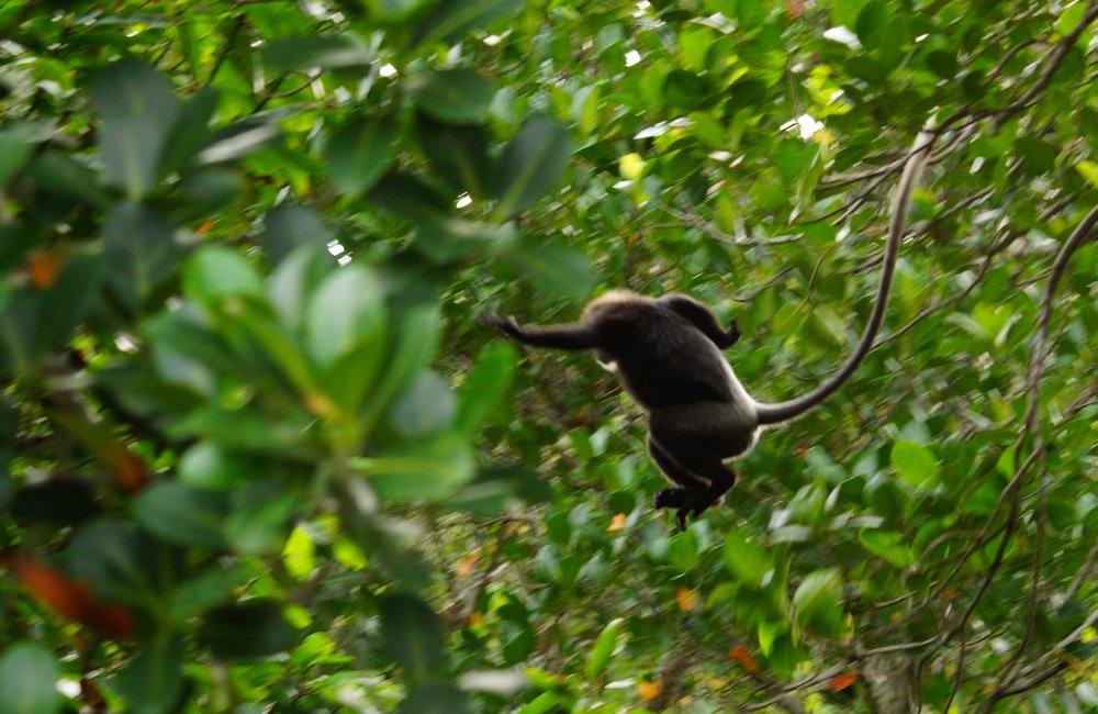 Photograph by Александр