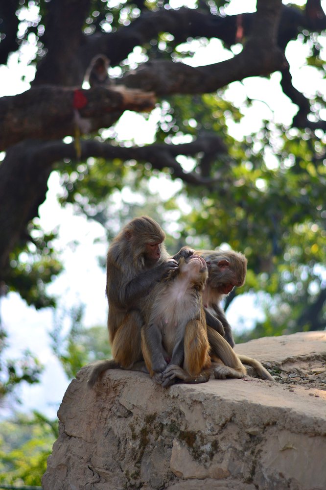 Photograph by Анатолий Орлов