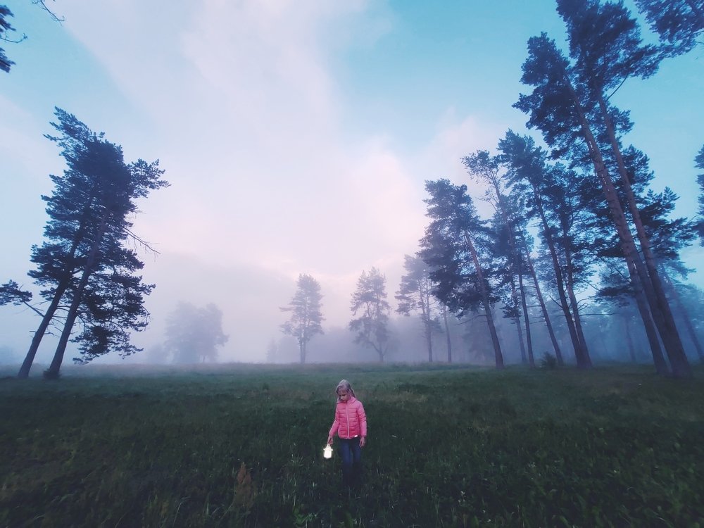 Red jacket is looking for a gray wolf)