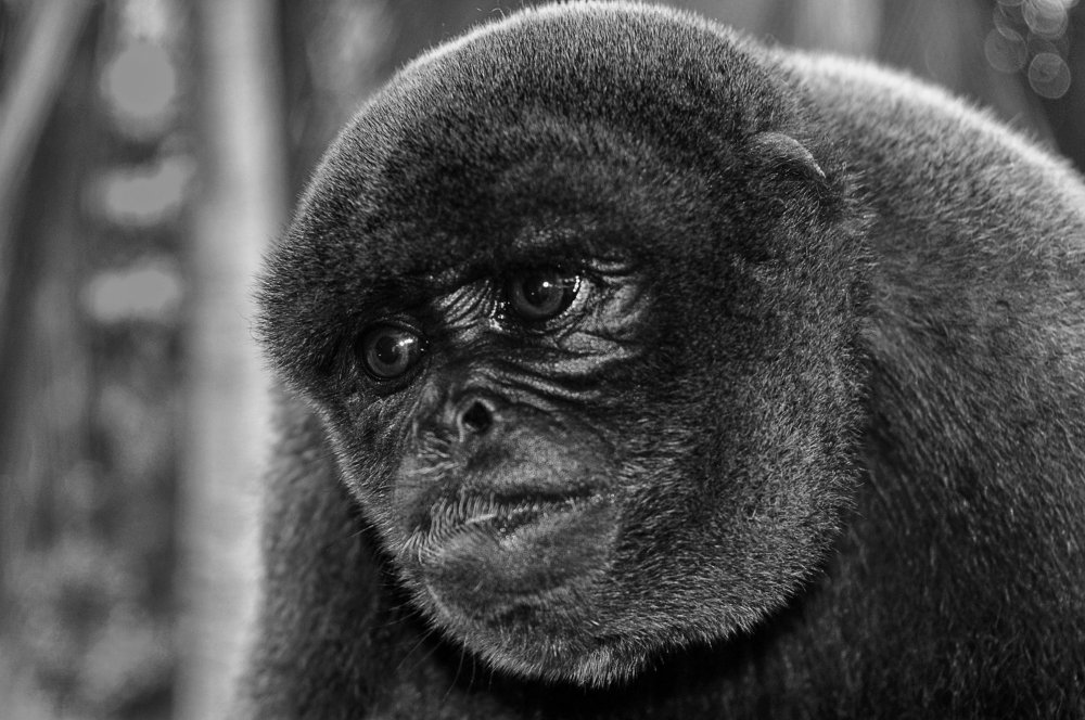 Photograph by Andrius La Rotta