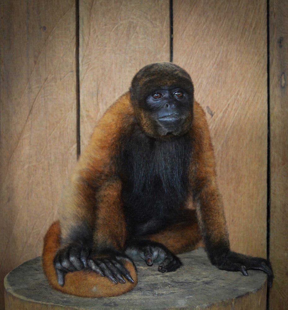 Photograph by Andrius La Rotta