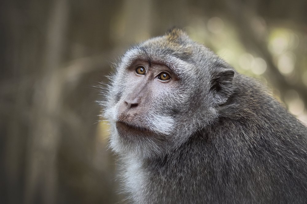 Photograph by Валерия Бунина