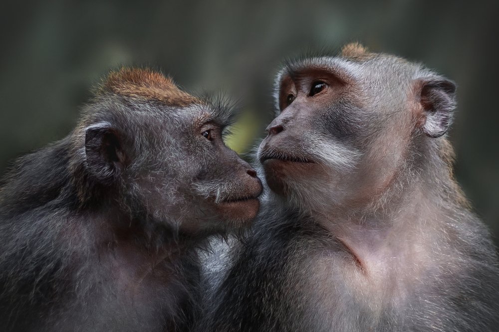 Photograph by Валерия Бунина