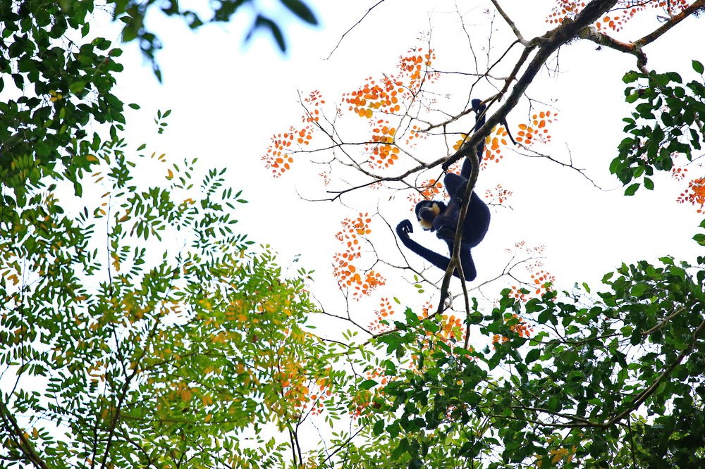 Фотография автора Mark Levitin