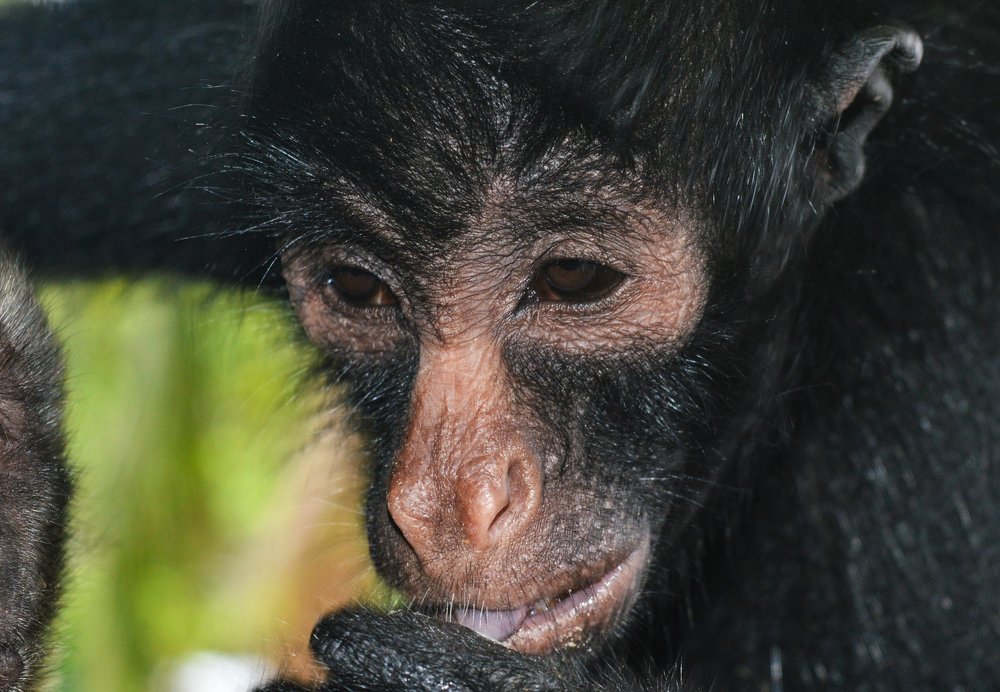 Photograph by Andrius La Rotta