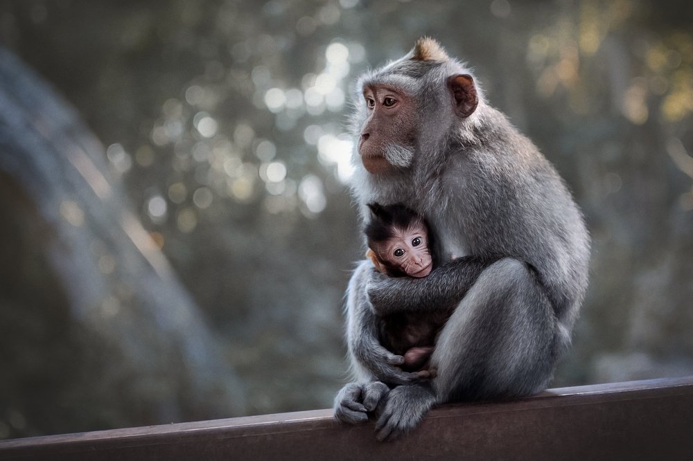 Photograph by Валерия Бунина