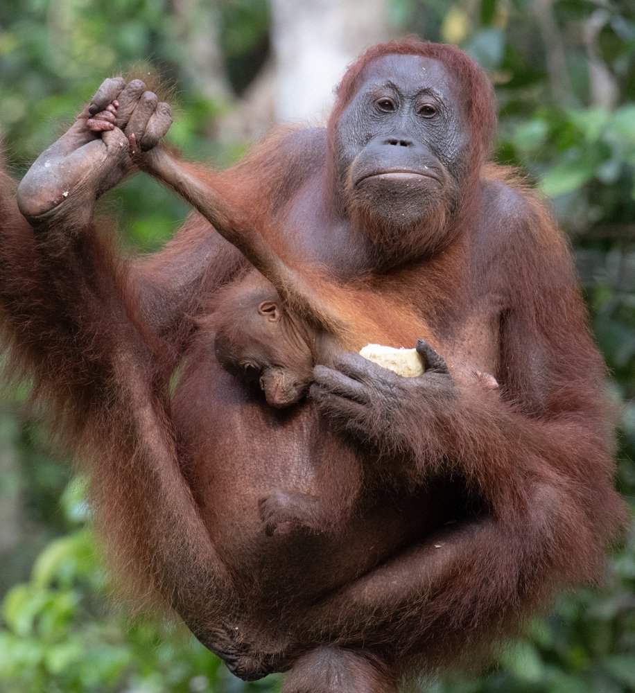 Вдох глубокий. Руки шире. Не спешите, три-четыре!