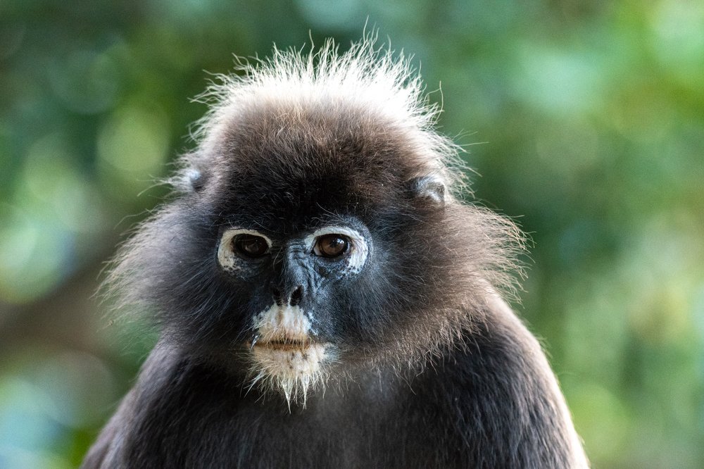 Photograph by Сергей Сыресин