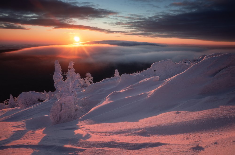 Photograph by Алексей Козаченко