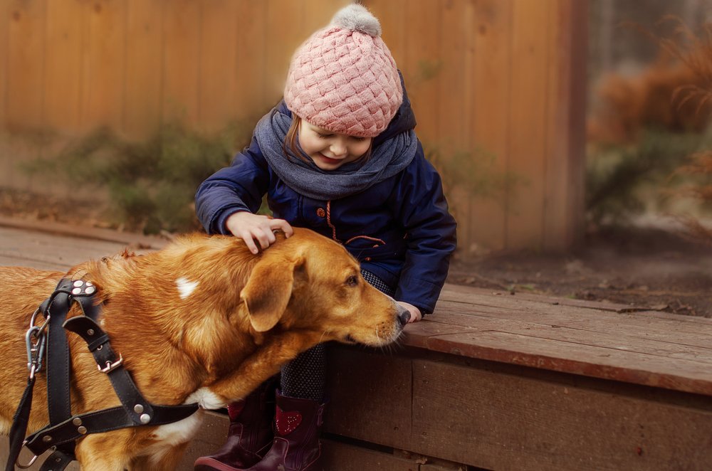 В память о лучшем друге.
