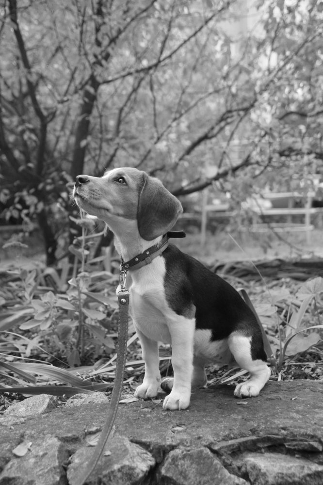 Photograph by Инга Крыжановская