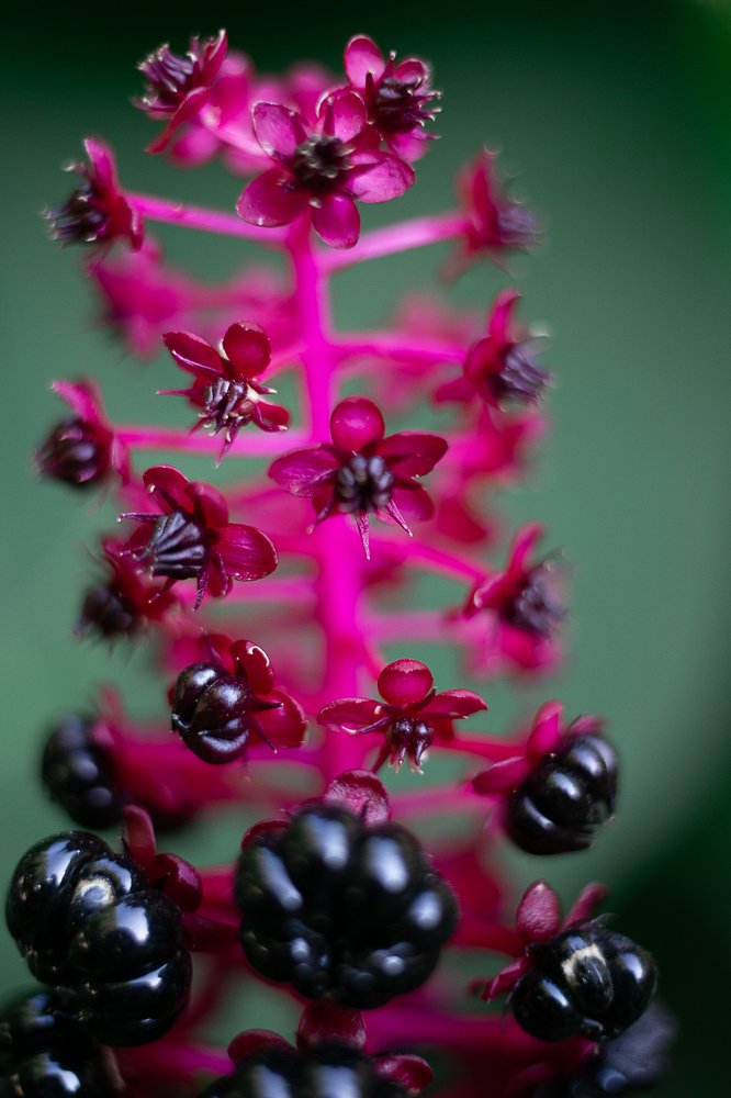 Фотография автора Ольга Матусевич