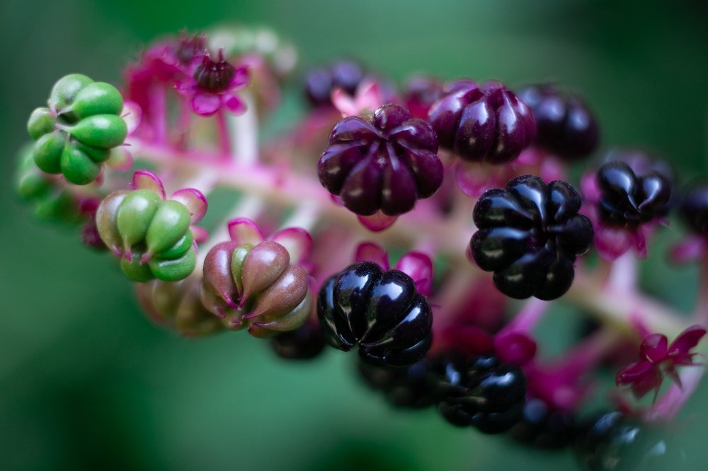 Фотография автора Ольга Матусевич