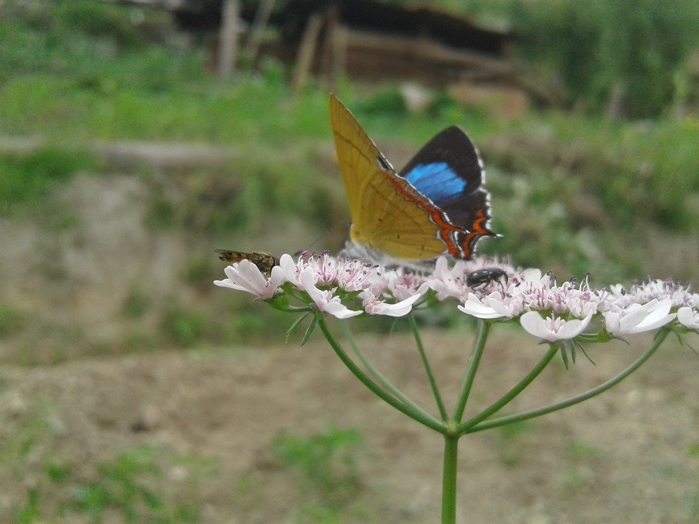 Photo #4263799