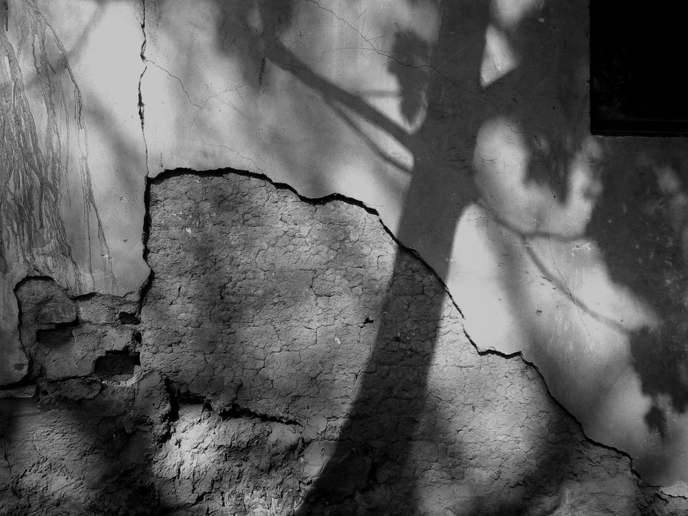 Photograph by Adiba Akhtar