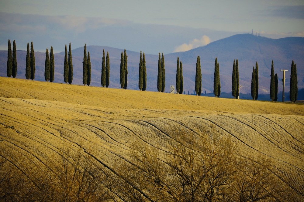 Photograph by Наталья Филькина