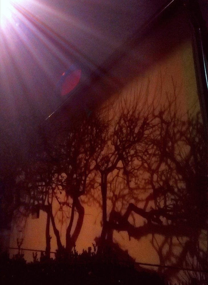 Photograph by Darko Milojevic