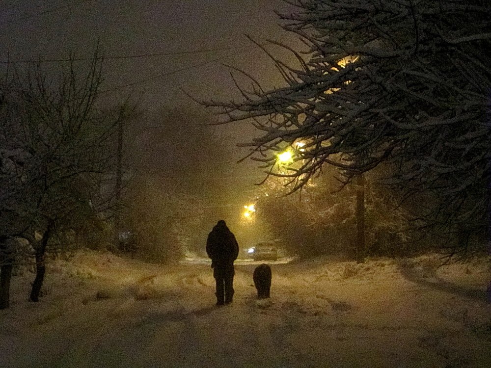 Photograph by Anna Krasova