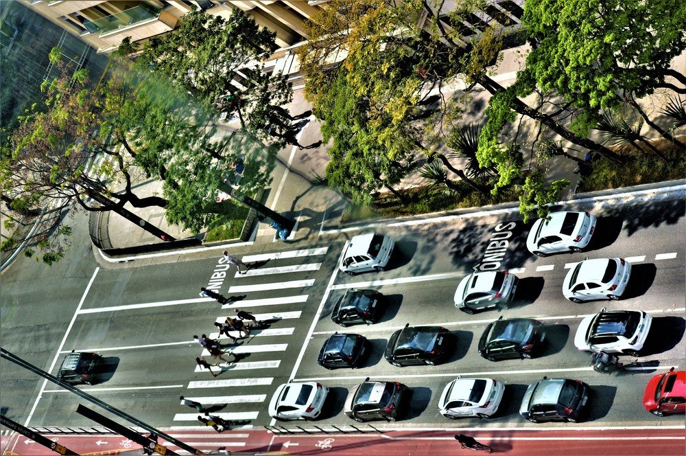 Photograph by Rosângela Verdi