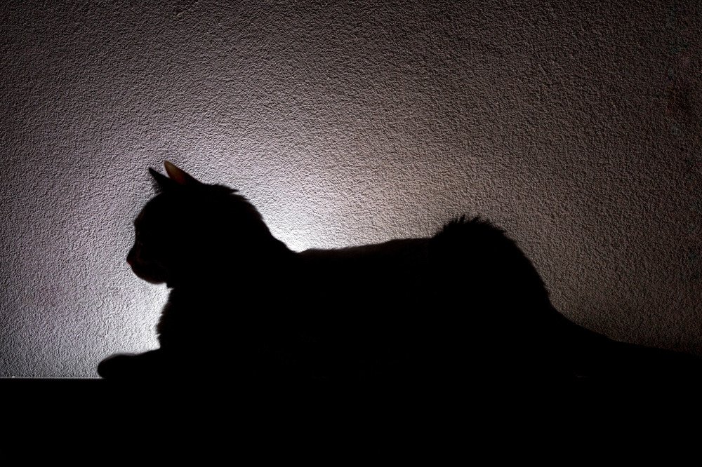 Photograph by Елена Устенко