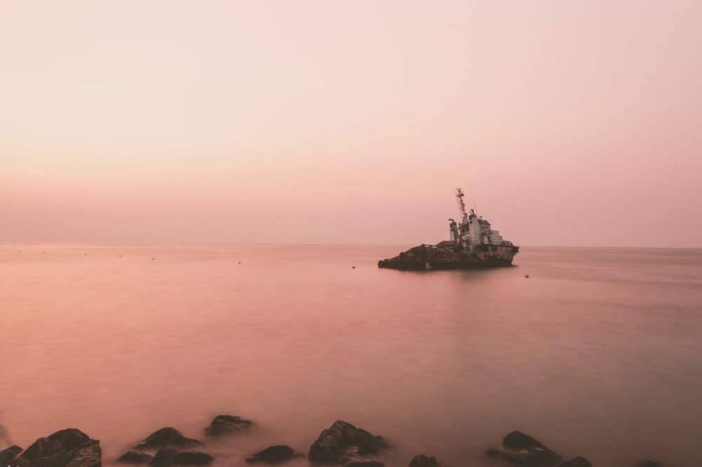 Photograph by Bhupendra Bagla