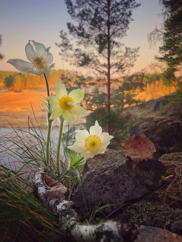 Photograph by Валентина Старикова