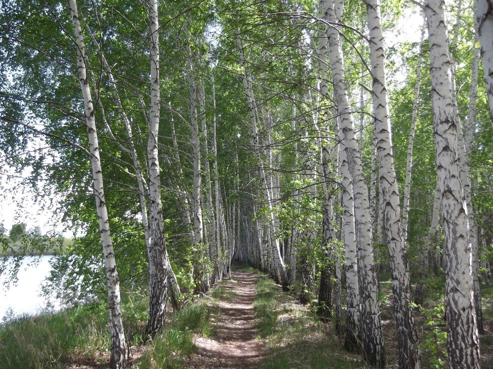 Photograph by Ирина