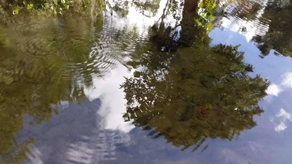 Photograph by Priya Devi