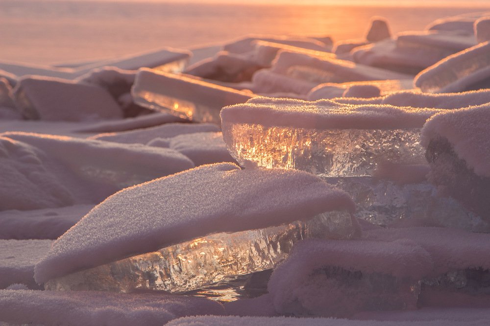Photograph by Елена Григорьева