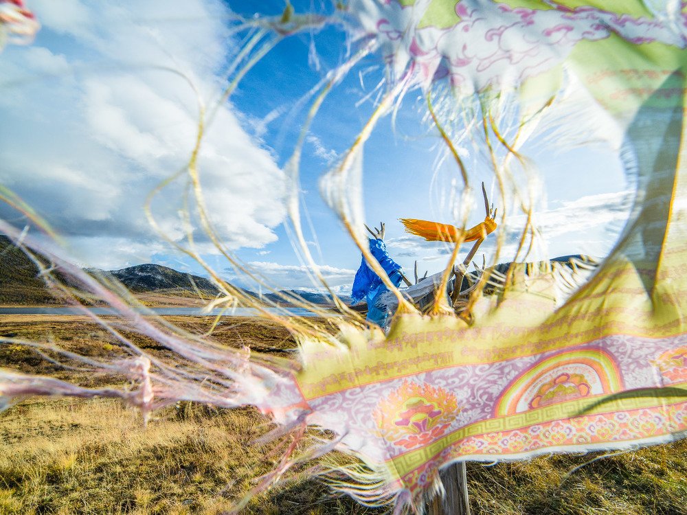 Photograph by Елена Григорьева