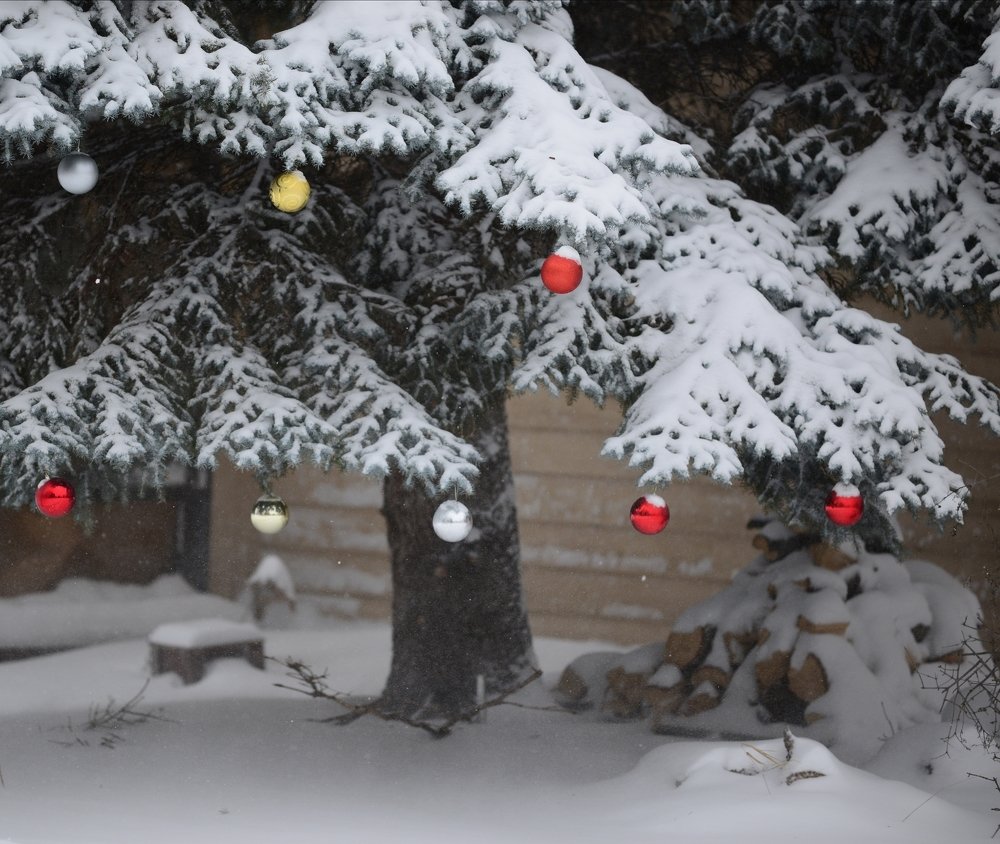 Photograph by Игорь