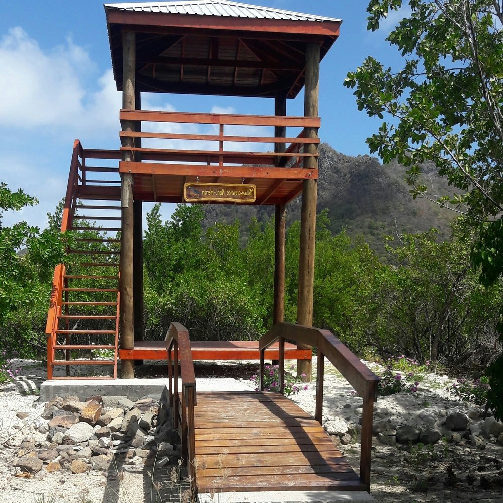 BIRD WATCHER'S TOWER