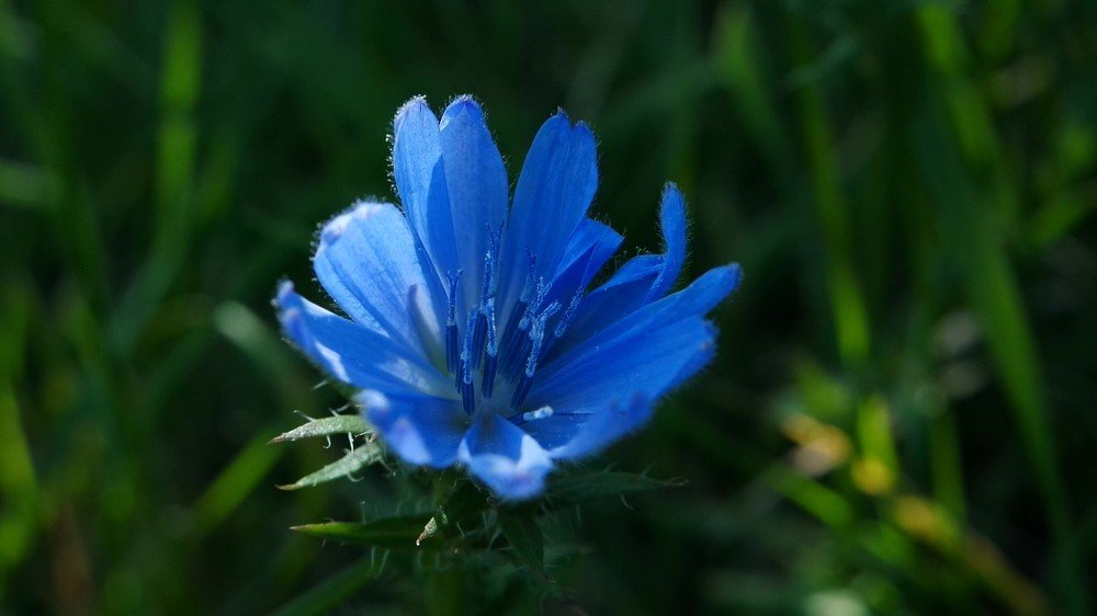 Свет и тень.