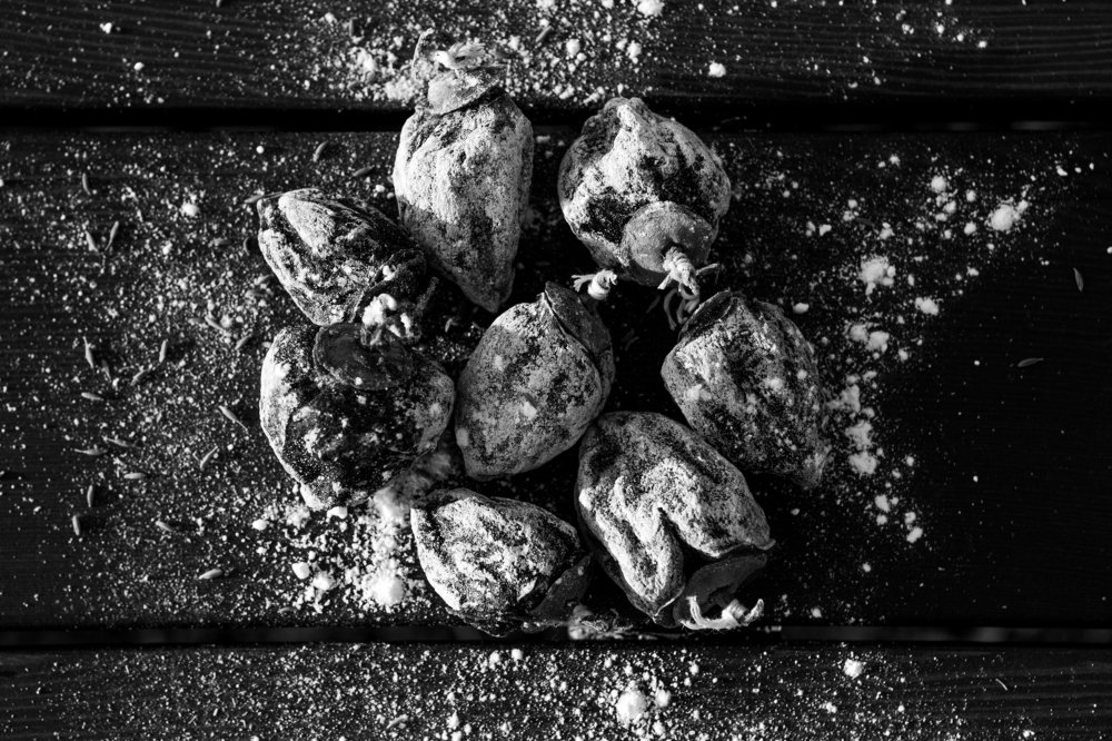 Photograph by Маргарита Тиунова