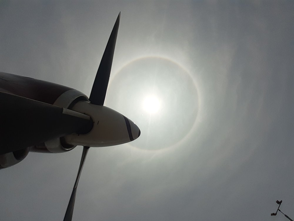 Photograph by Frank Enriquez