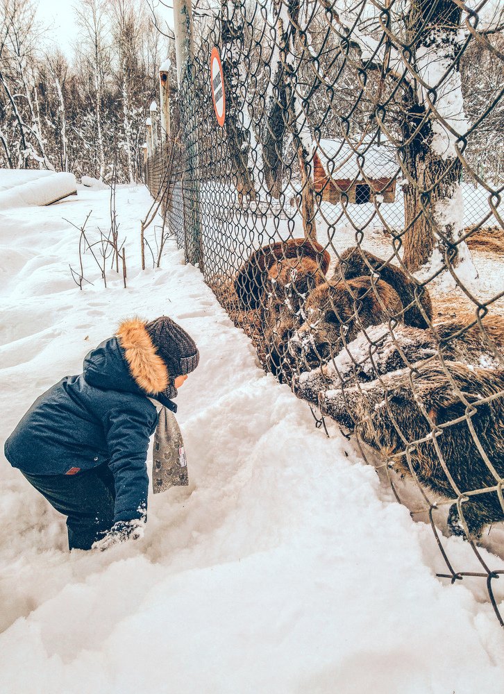 Photograph by Марина Чусова