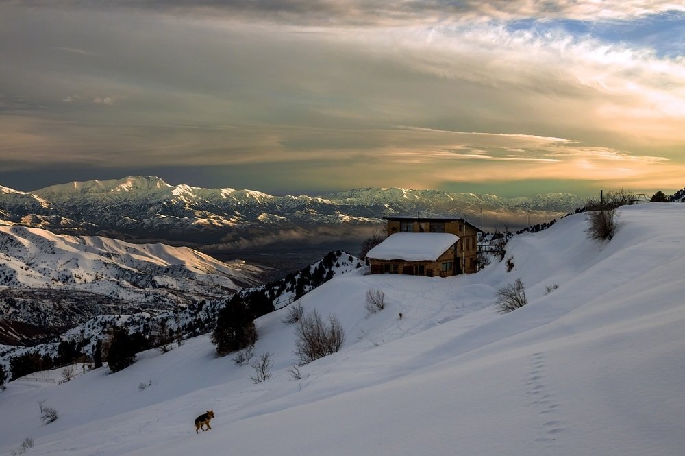 Фотография автора Andrey  Prohozhy