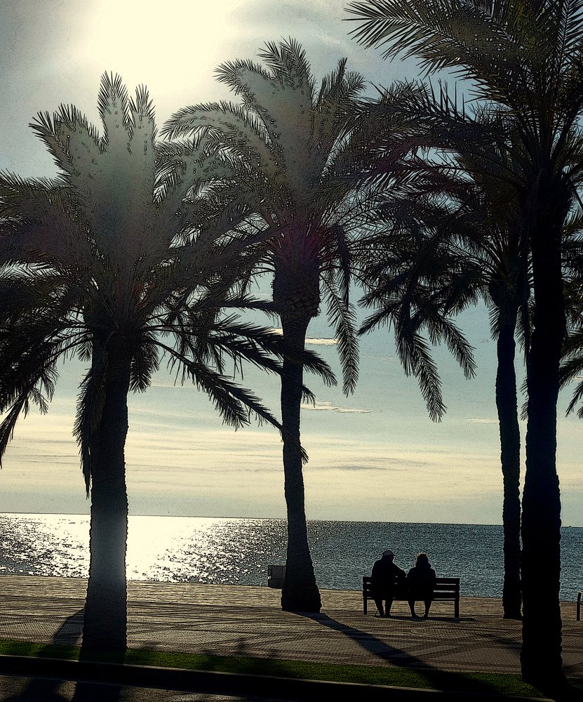 Photograph by Josep M. Bove Veciana