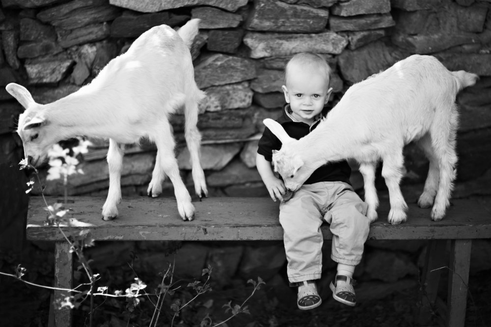 Детство в деревне