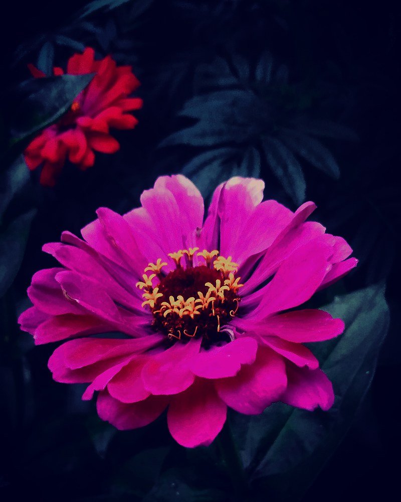 " моё не последнее лето "