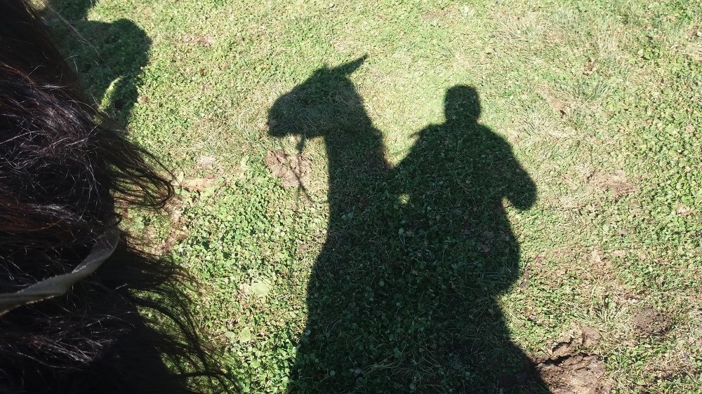 Photograph by Nazgul Usupbekova