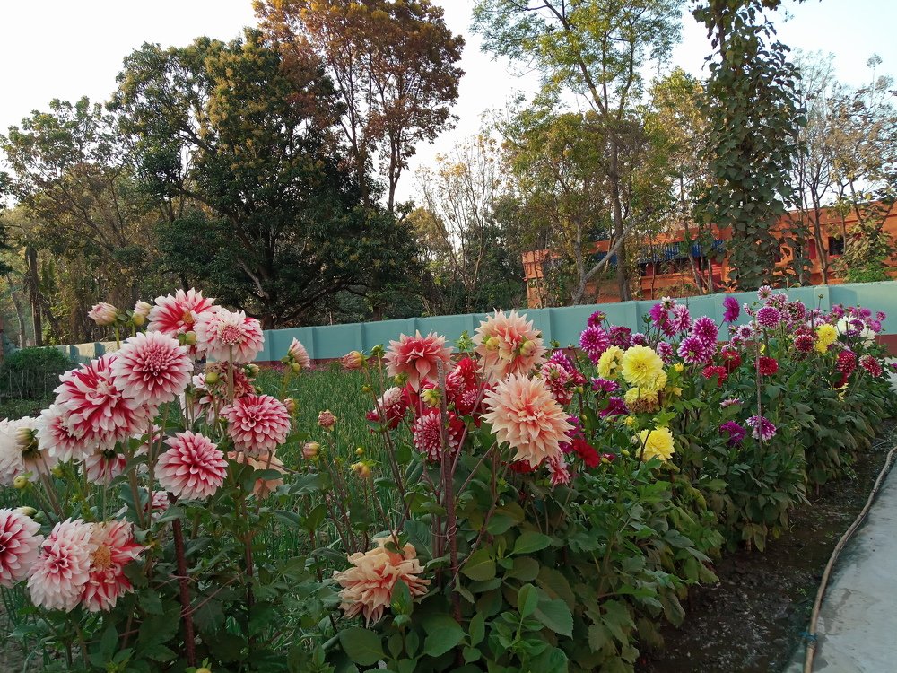 Фотография автора Tom Kottackal