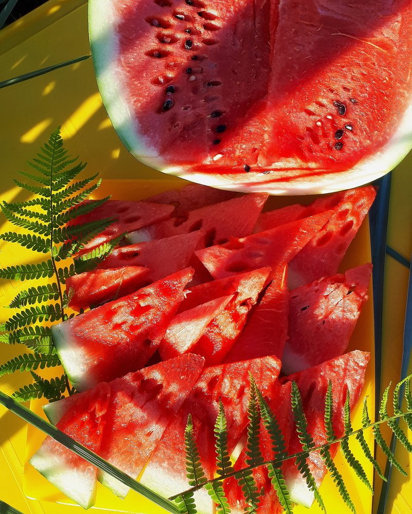 Photograph by Юлия Звонкова