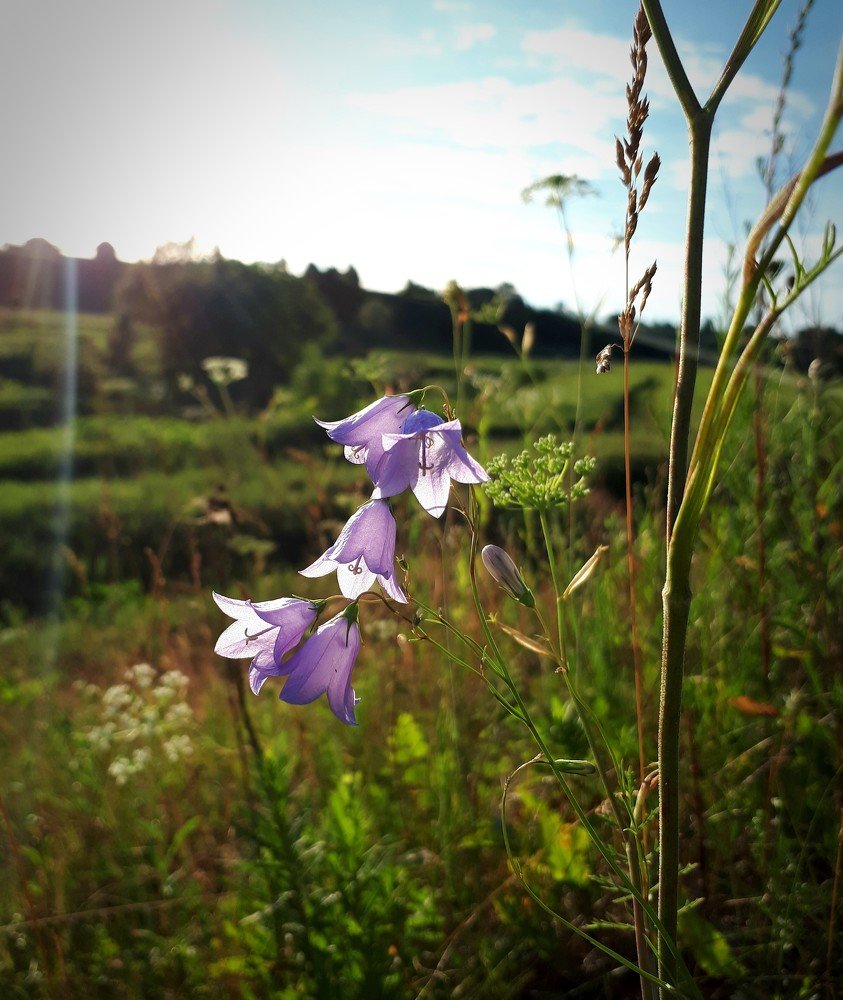 Photograph by Юлия Звонкова